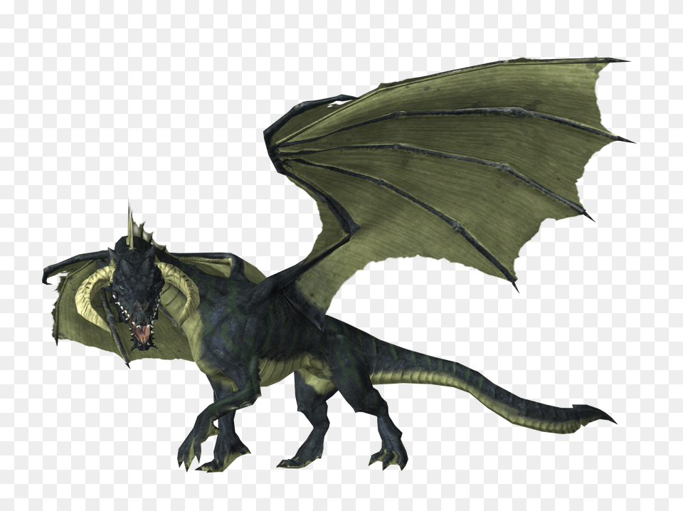 Black Dragon, Animal, Dinosaur, Reptile Png Image