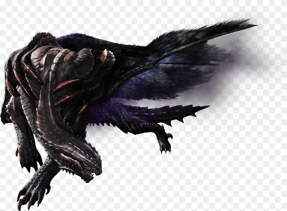 Black Dragon Monster Hunter, Animal, Bird Png