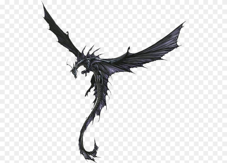Black Dragon Pathfinder Black Dragon Art, Animal, Bird Free Png
