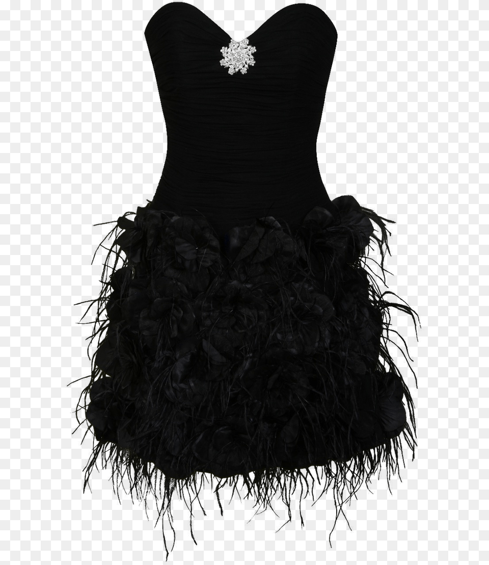 Black Dress, Accessories, Clothing, Plant Png Image