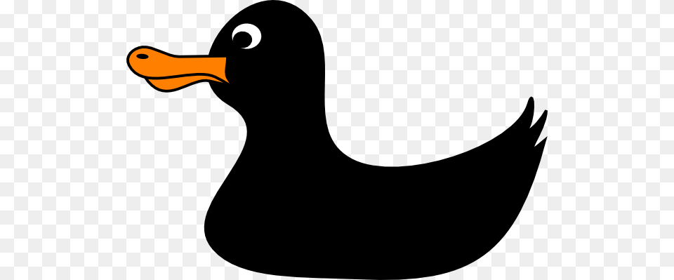 Black Duck Clip Arts Download, Animal, Bird, Beak, Smoke Pipe Png Image