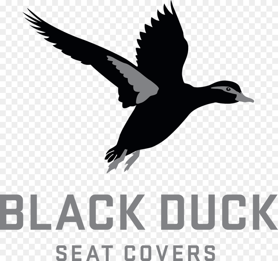 Black Duck Seat Covers Ford Ranger Px Black Duck Seat Cover Logo, Animal, Bird, Goose, Waterfowl Free Transparent Png