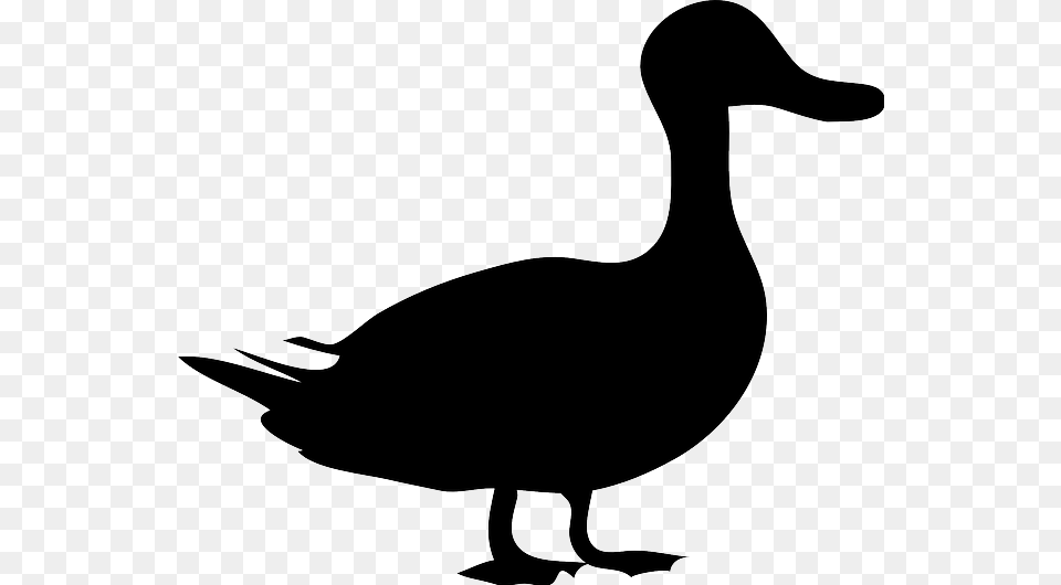 Black Duck Shadow Of Animals Clipart, Animal, Bird, Bow, Weapon Free Png