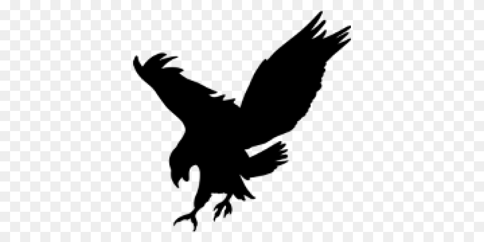 Black Eagle Clipart, Gray Free Png