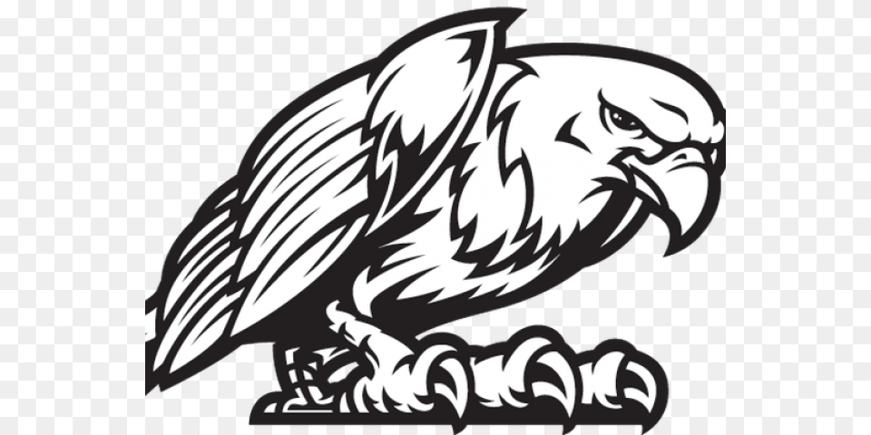 Black Eagle Clipart Eagle Mascot Eagle Mascot, Animal, Bird, Vulture, Baby Free Png Download