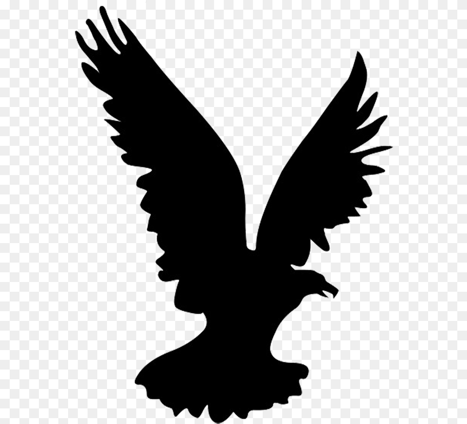 Black Eagle Clipart Flight Silhouette Eagle Silhouette, Person, Animal, Bird, Flying Free Png Download