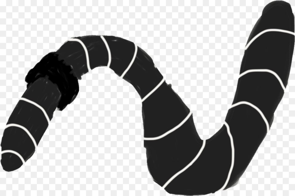 Black Earthworm Illustration Insect, Appliance, Blow Dryer, Device, Electrical Device Free Png Download