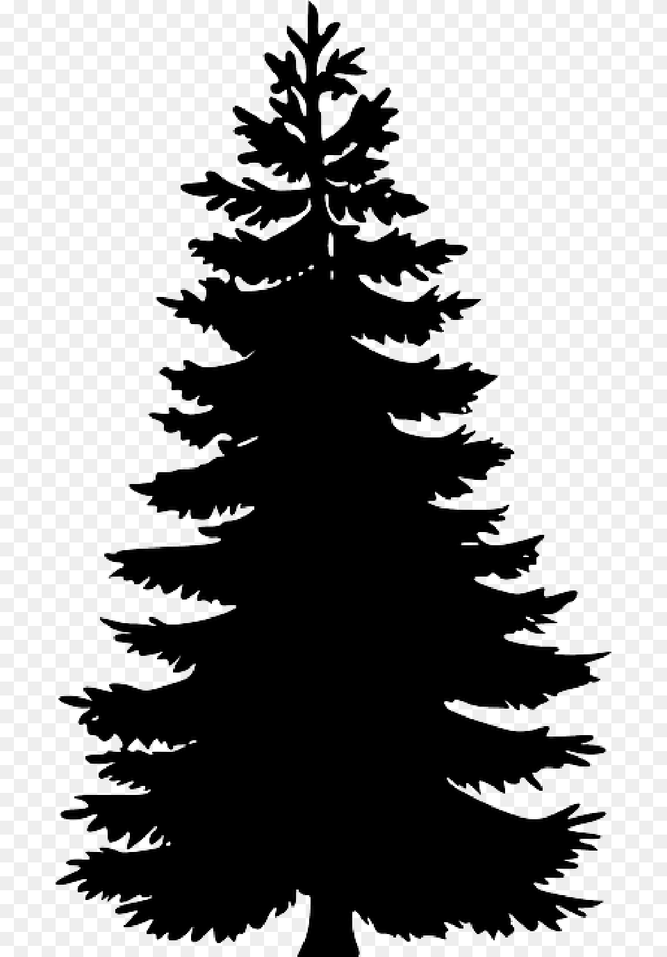 Black Evergreen Large Outline Silhouette Tree Pine Tree Vector, Fir, Plant, Stencil, Animal Free Png