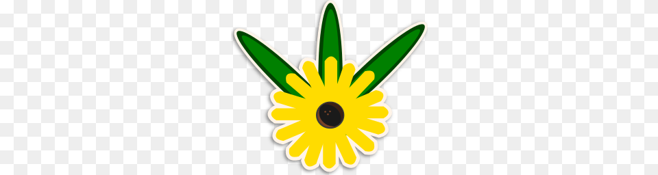 Black Eyed Susan, Daisy, Flower, Plant, Petal Free Transparent Png