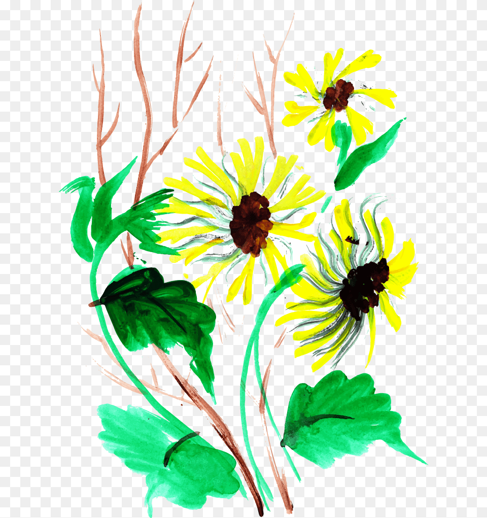 Black Eyed Susan, Plant, Art, Flower, Graphics Png