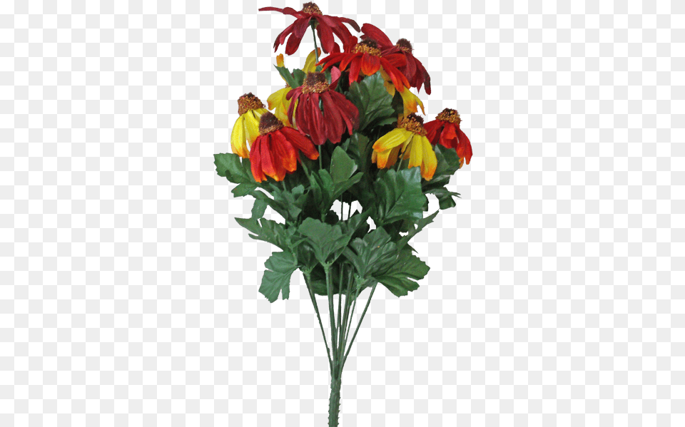 Black Eyed Susan Red Mix Parlour Maple, Flower, Plant, Flower Arrangement, Flower Bouquet Free Png Download