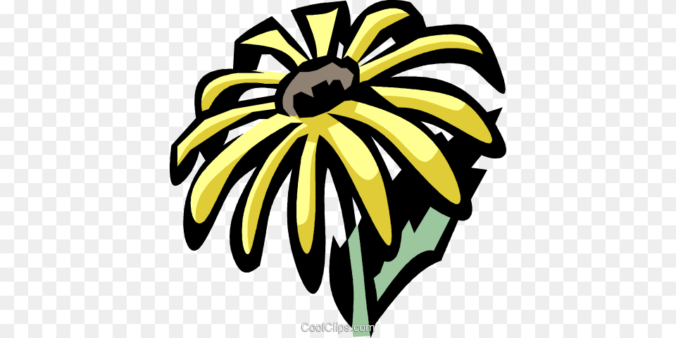 Black Eyed Susan Royalty Vector Clip Art Illustration, Daisy, Flower, Plant, Ammunition Png