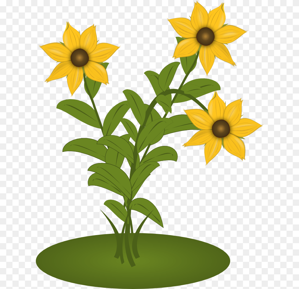 Black Eyed Susans Sunflower Clipart Full Size Clipart Clip Art, Daffodil, Flower, Plant, Daisy Free Png