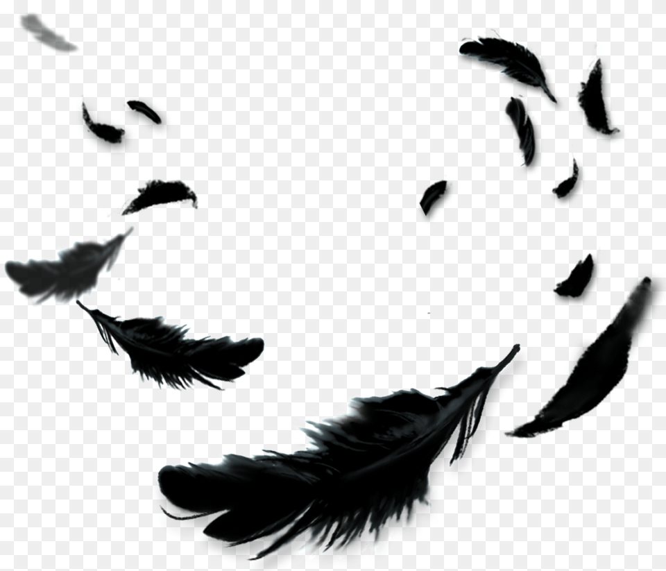 Black Feather Cartoon Transparent Vector, Art, Collage, People, Person Png Image