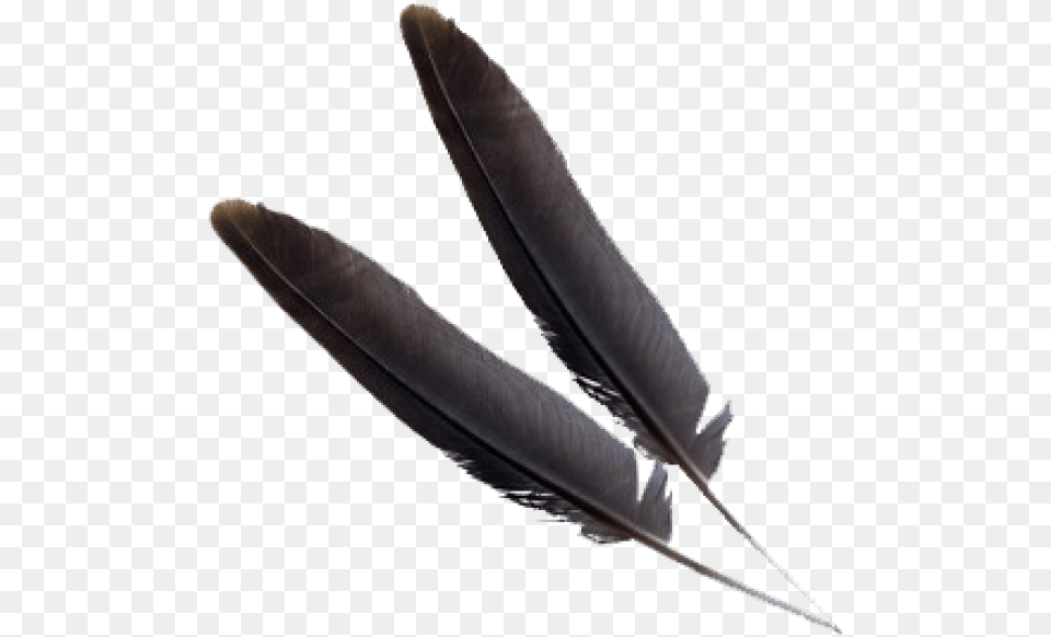 Black Feather Download Feather, Bottle, Blade, Dagger, Knife Png