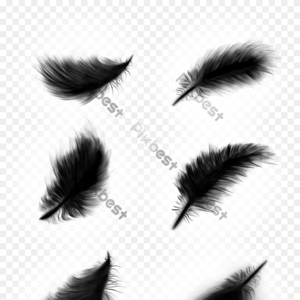 Black Feather Vector Design Element Animal Product, Baby, Person, Text, Art Png Image