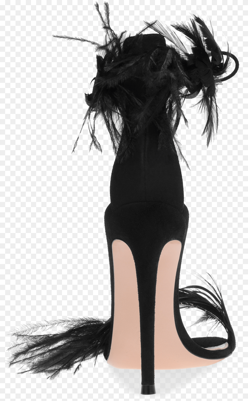 Black Feathers, Clothing, Footwear, High Heel, Shoe Free Transparent Png