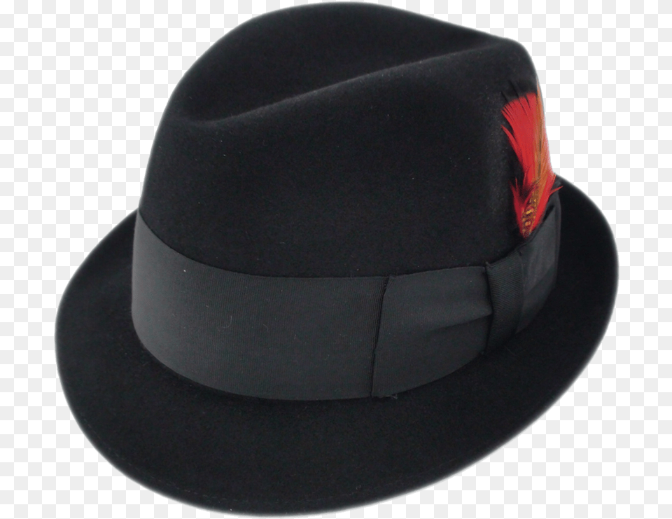 Black Fedora Fedora, Clothing, Hat, Sun Hat Png Image