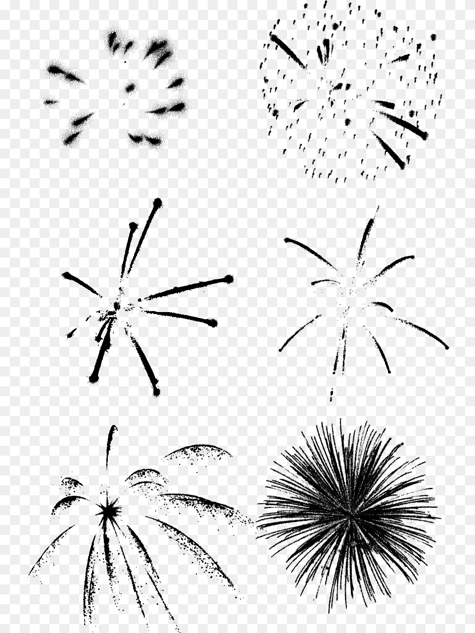 Black Fireworks Chinese New Year Festive Vector Black Fireworks Vector, Animal, Invertebrate, Spider, Outdoors Png