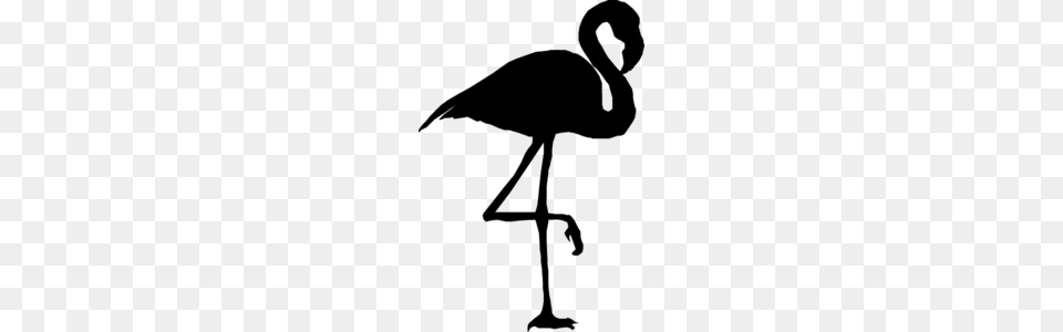 Black Flamingo Clip Art, Gray Png