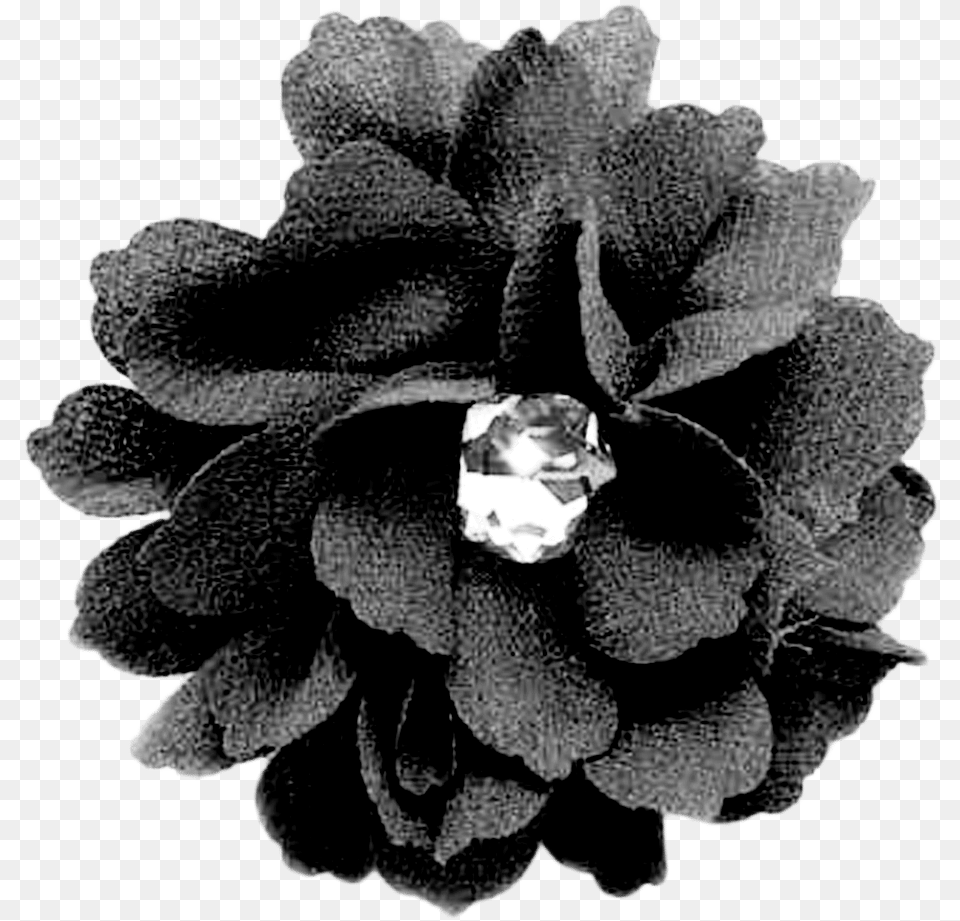 Black Flower Black Flower, Accessories, Anemone, Jewelry, Plant Png Image