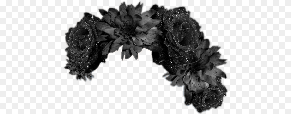 Black Flower Crown 1 Black Flower Crown, Plant Png Image