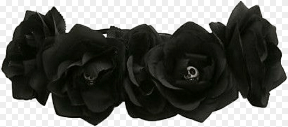 Black Flower Crown, Plant, Rose, Accessories Png Image