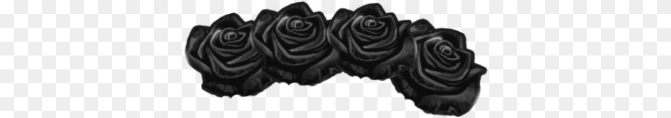 Black Flower Crown Black Flower Crown Transparent, Plant, Rose, Adult, Bride Free Png Download