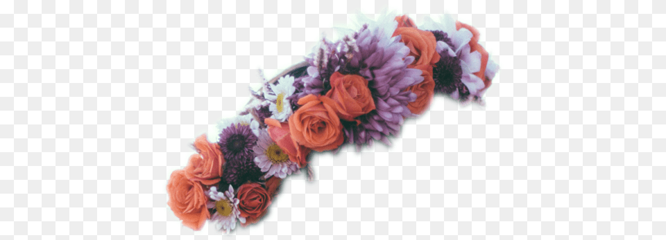 Black Flower Crown Fy Gimp Tutorial Crowns Jpg Garden Roses, Flower Bouquet, Plant, Flower Arrangement, Accessories Png Image