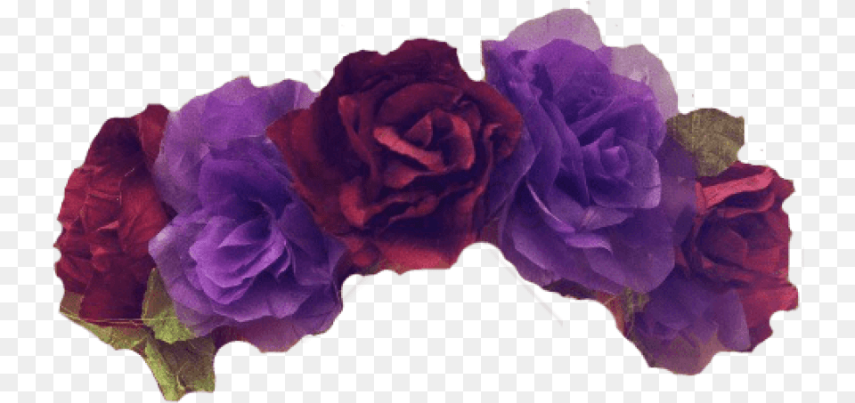Black Flower Crown Picture Purple Flower Crown, Plant, Rose, Geranium Png Image