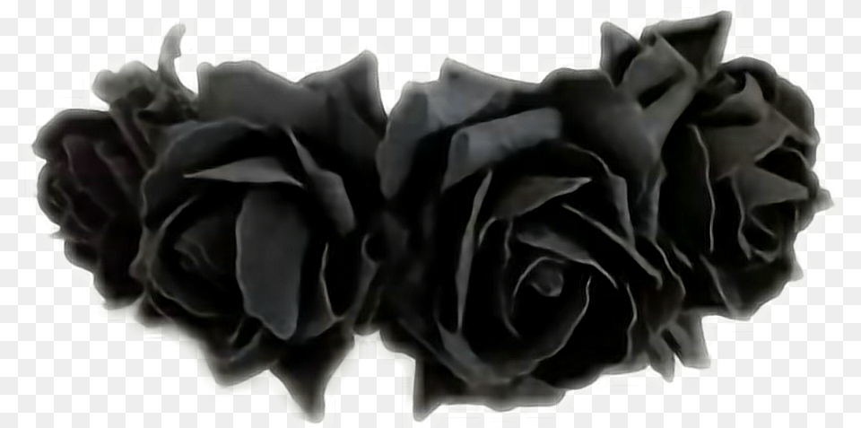 Black Flowercrown Cute Flower Sticker Flower Crown Black, Plant, Rose, Baby, Flower Arrangement Free Png