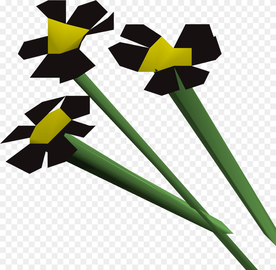 Black Flowers Osrs Flower Black, Daffodil, Plant Free Transparent Png