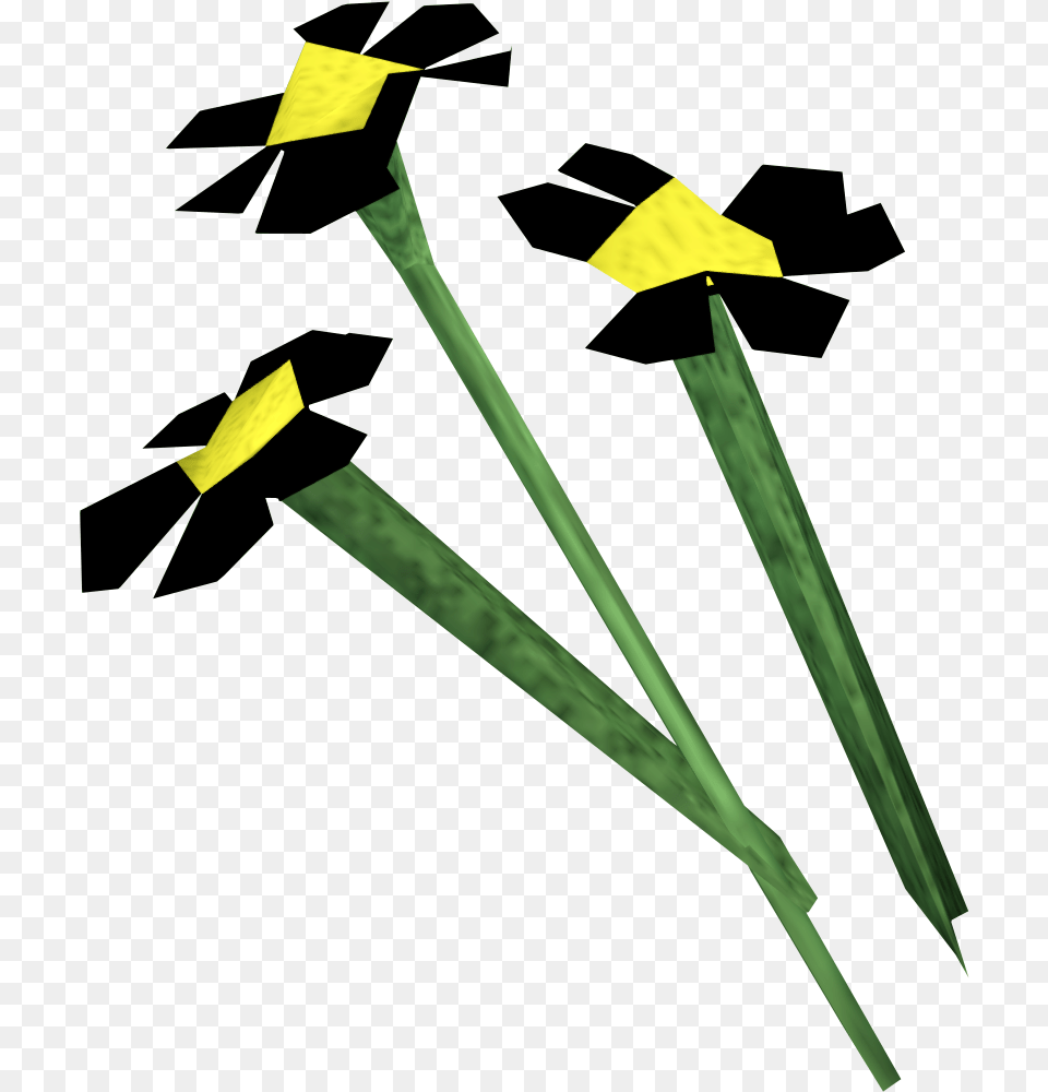 Black Flowers Osrs Flowers, Daffodil, Flower, Plant Free Png