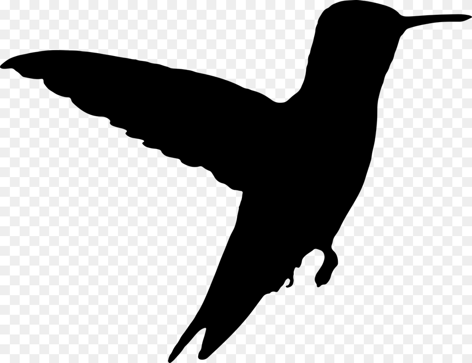 Black Flying Bird Clipart, Gray Free Png