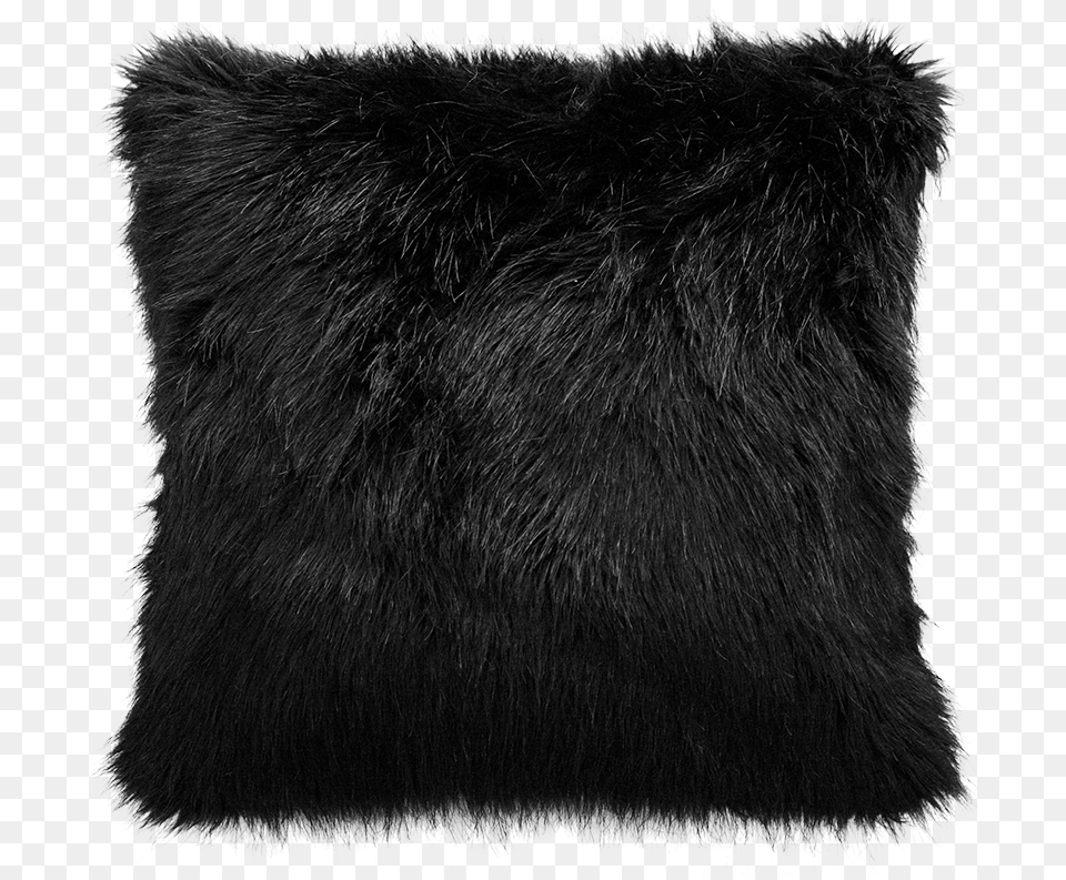 Black Fox Black Cushion, Home Decor, Pillow, Animal, Bear Free Png