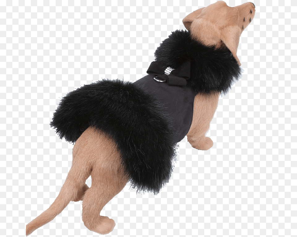 Black Fox Fur Coat With Nouveau Bow Fur, Animal, Bear, Mammal, Wildlife Free Png Download