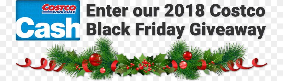Black Friday Giveaway Christmas Tree, Plant, Conifer Free Transparent Png