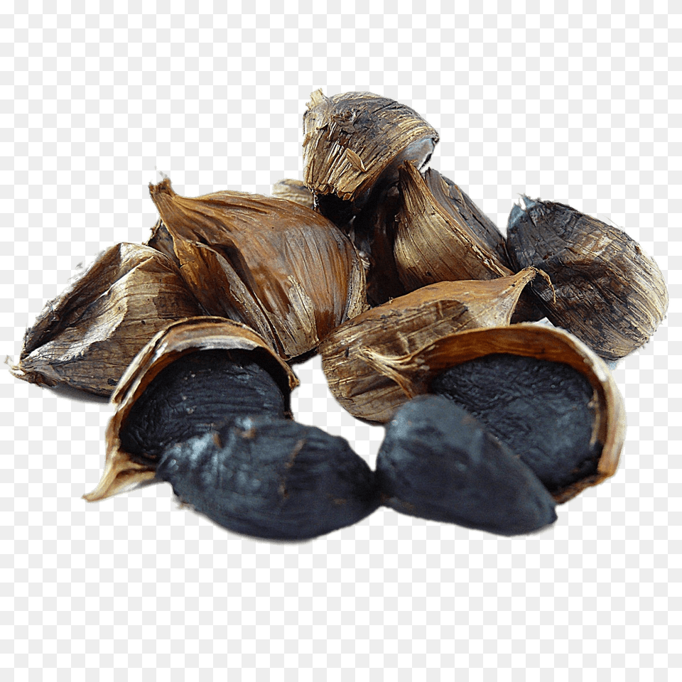 Black Garlic, Food, Animal, Insect, Invertebrate Free Png Download