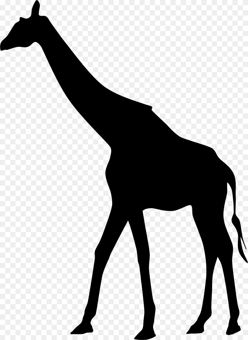 Black Giraffe Transparent Background, Gray Free Png Download