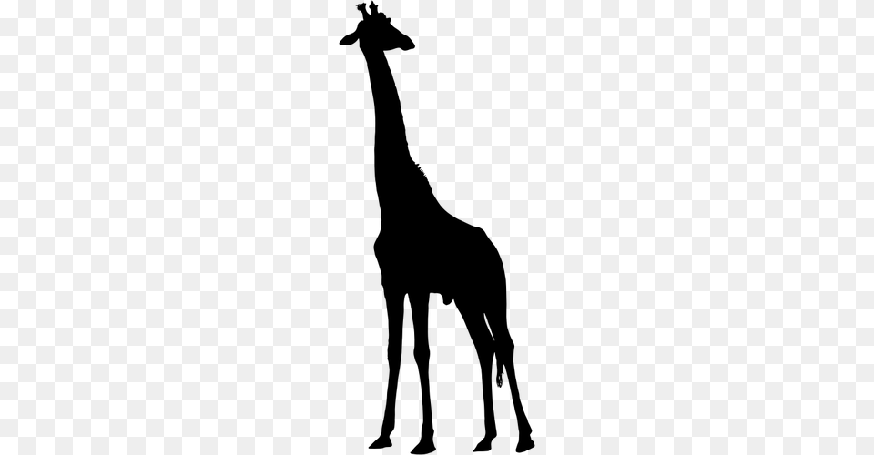 Black Giraffe Vector Image, Gray Free Png