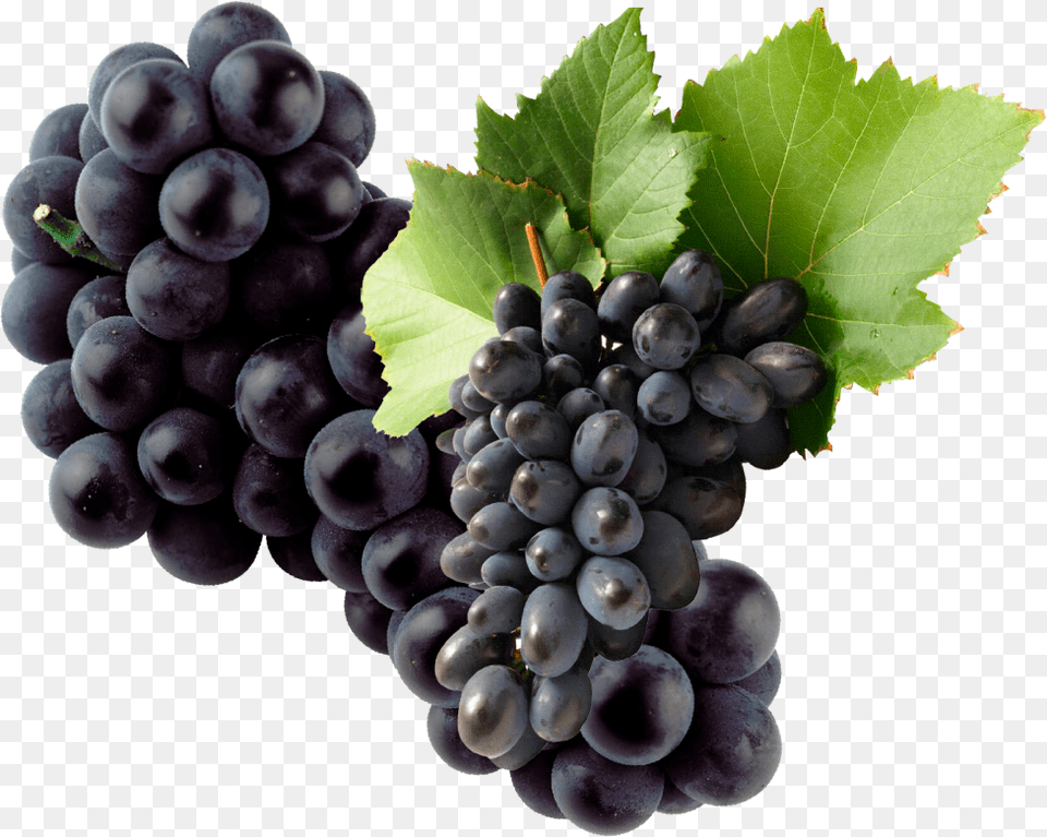 Black Grapes, Food, Fruit, Plant, Produce Free Png Download