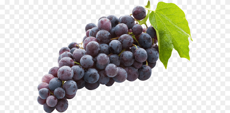 Black Grapes, Food, Fruit, Plant, Produce Free Png