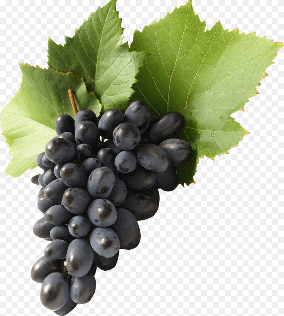 Black Grapes Background, Food, Fruit, Plant, Produce Free Png