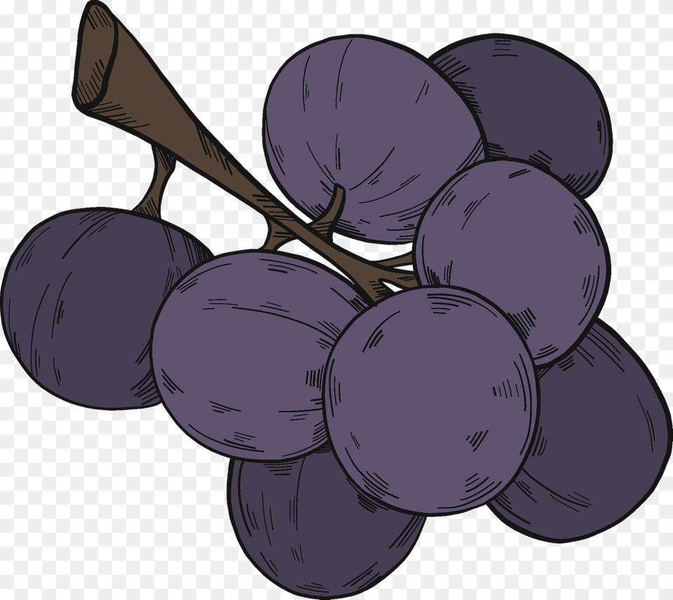 Black Grapes Clipart, Food, Fruit, Plant, Produce Png