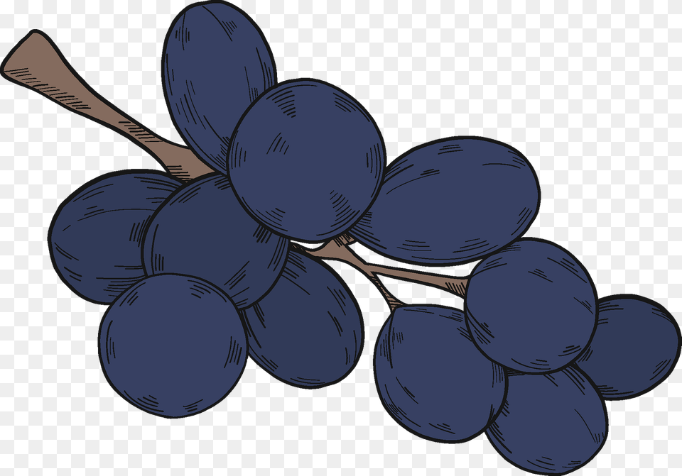 Black Grapes Clipart, Food, Fruit, Plant, Produce Free Png Download