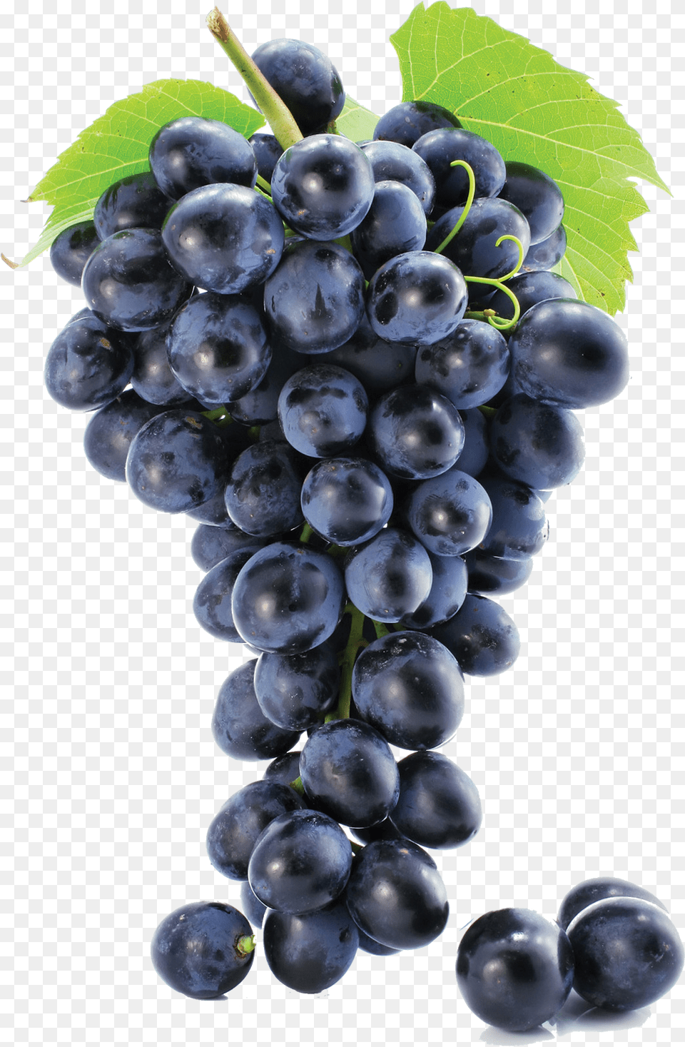 Black Grapes Background Grape, Food, Fruit, Plant, Produce Free Png