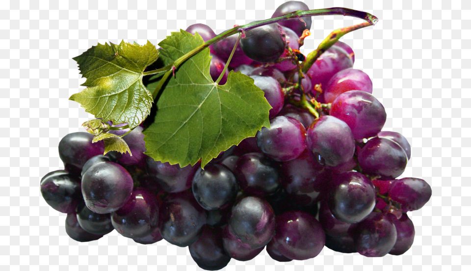 Black Grapes Grapes, Food, Fruit, Plant, Produce Png Image