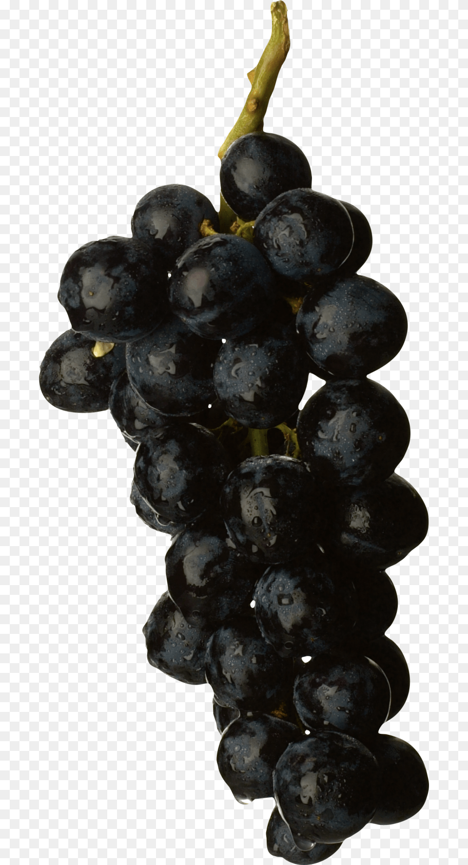 Black Grapes Image Black Grape, Food, Fruit, Plant, Produce Free Png