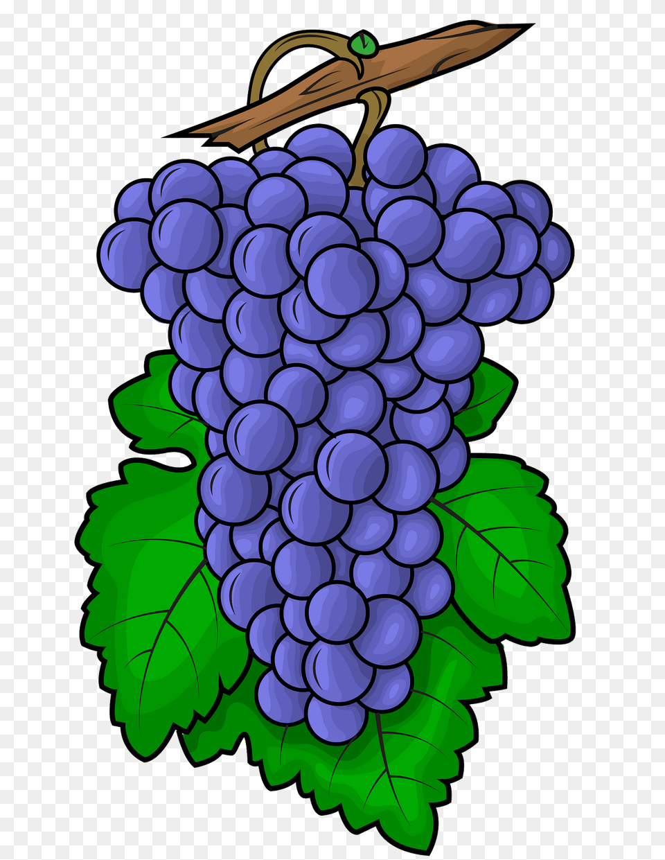 Black Grapes On Branch Clipart, Food, Fruit, Plant, Produce Png Image
