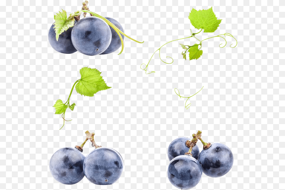 Black Grapes Photo Black Grape, Food, Fruit, Plant, Produce Free Transparent Png